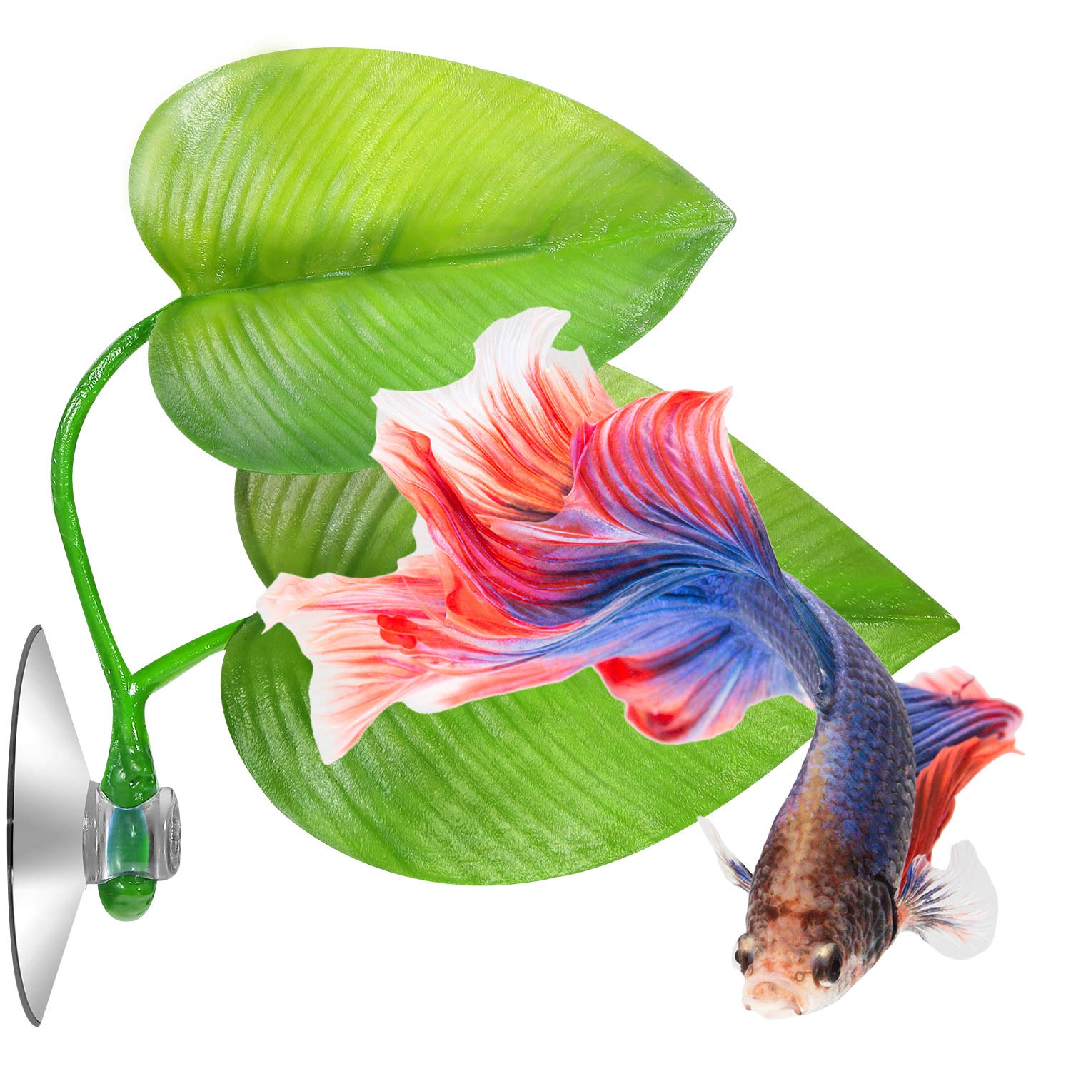Boao Betta hoja hamaca decorativa colorida, mejora visual del tanque