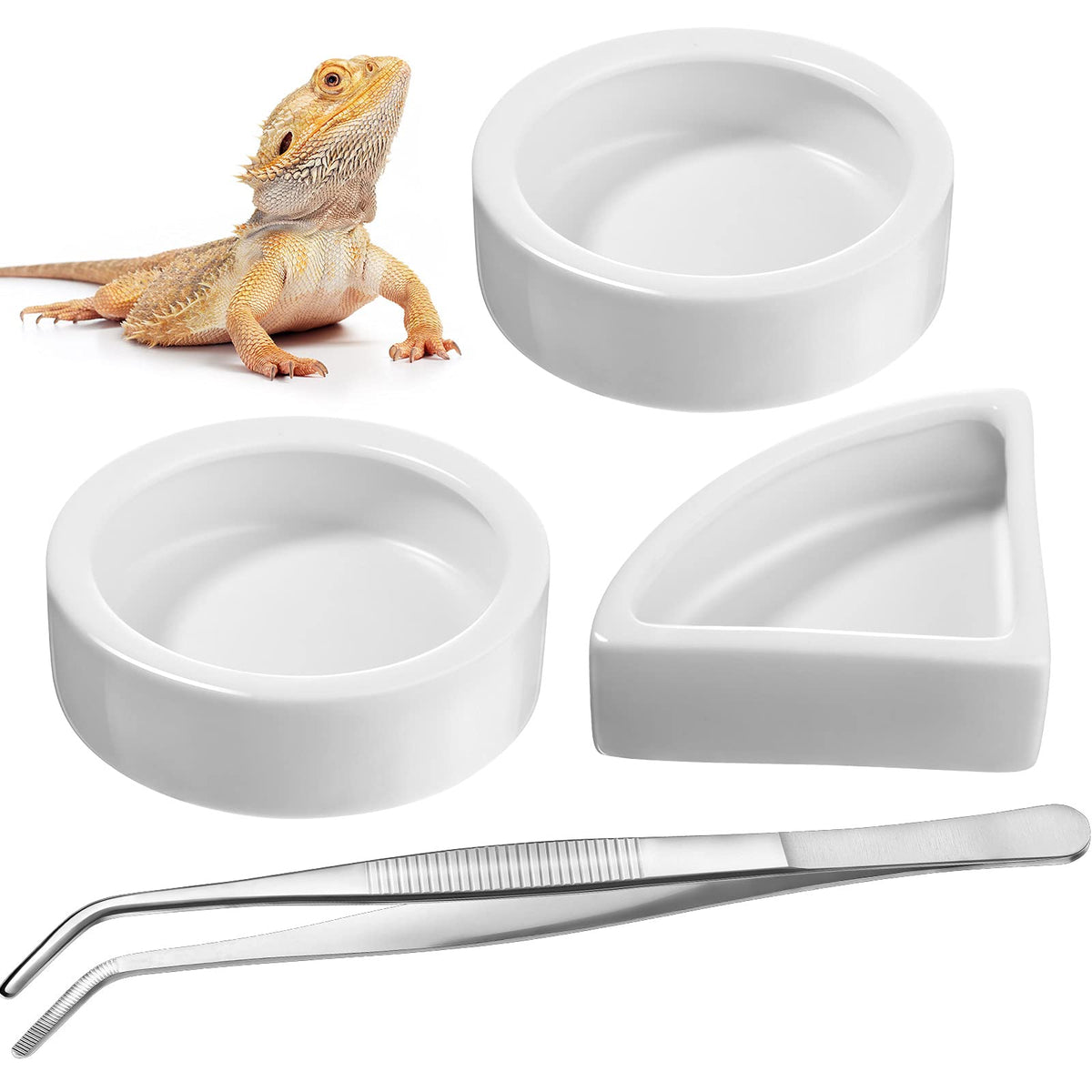 Boao cuencos para reptiles redondos de cerámica, fáciles de limpiar y duraderos