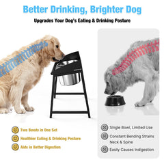 Bobbie & Laxi tazón de agua de 0.79 galones para beber sin recargas.