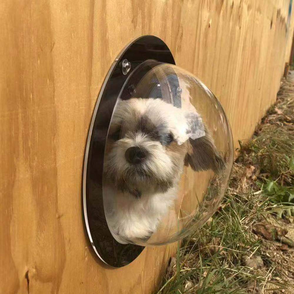 BobbyPet Ventana mascota domo transparente de poliestireno seguro
