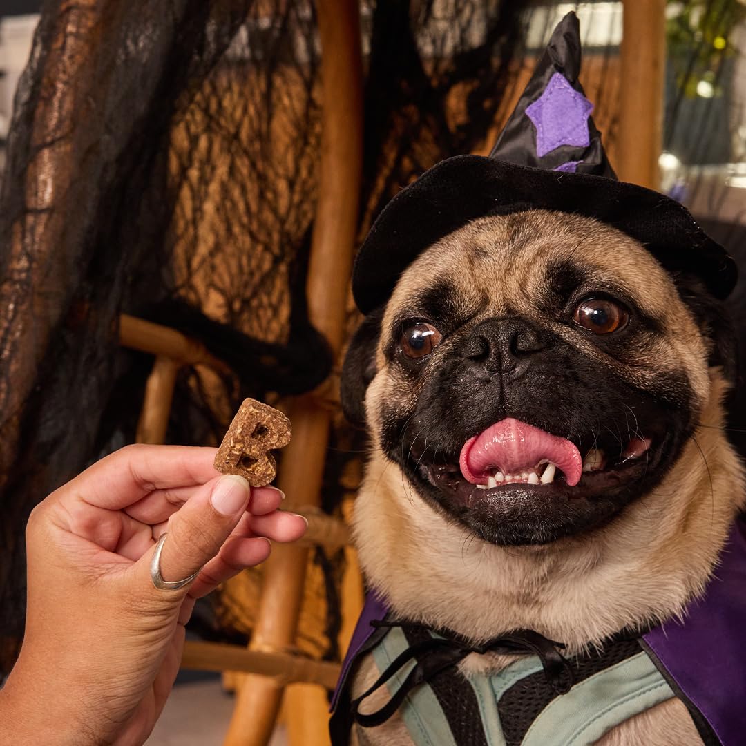 Premio diario para perros con Bocce's Bakery.