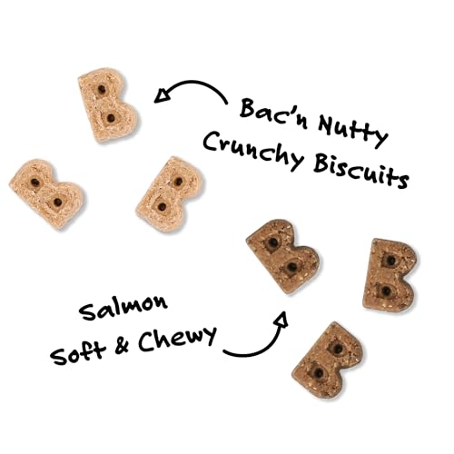 Galleta de salmón Bocce’s Bakery, textura suave para mordidas fáciles.
