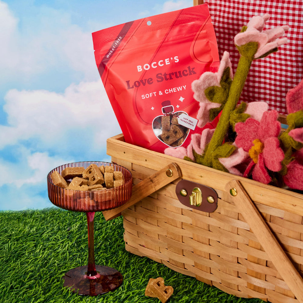 Golosina horneada en Estados Unidos para perros, Bocce's Bakery.