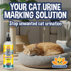 Bodhi Dog Cat No More Marking Spray – uso en interiores, fácil de aplicar