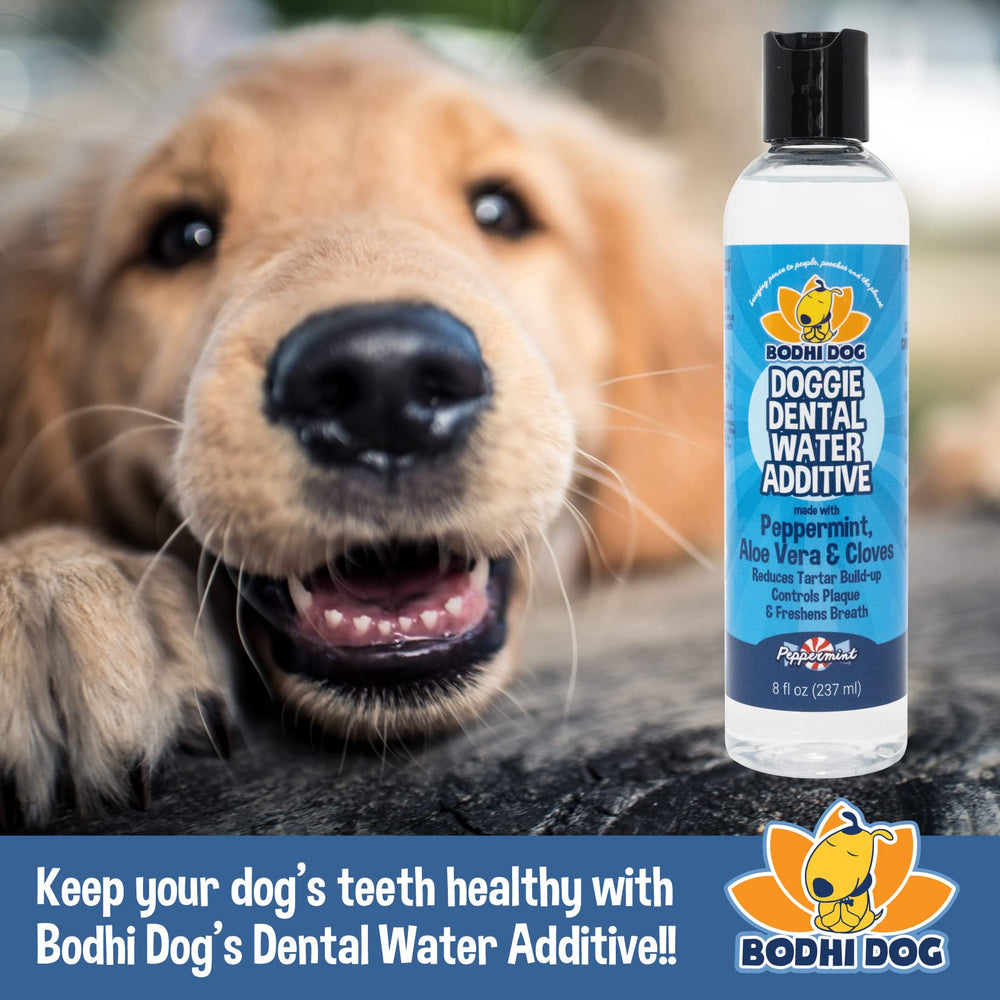 Bodhi Dog encías sanas y menor sarro en perros gracias al aditivo