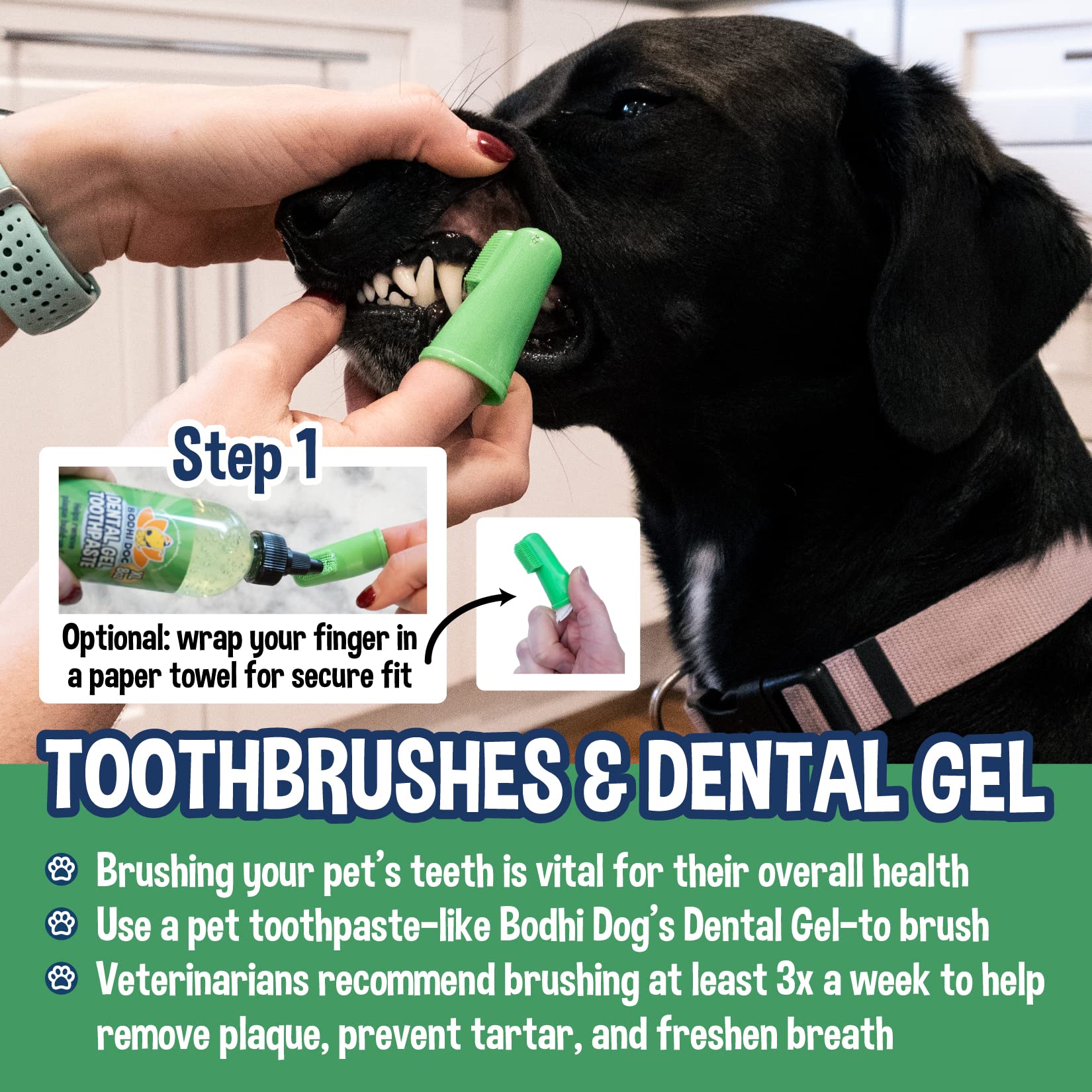 Bodhi Dog entrenamiento dental en casa para perros y gatos
