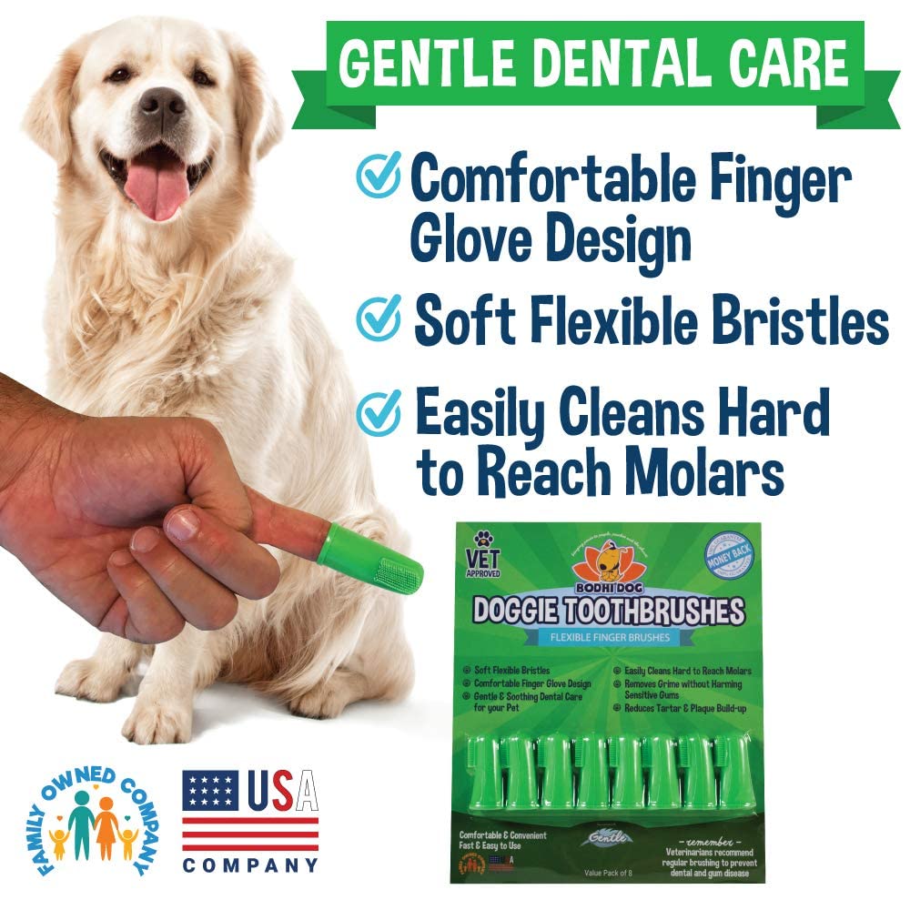 Bodhi Dog uso doméstico de cuidado dental sencillo y rápido