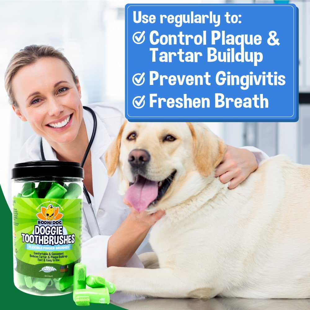 Bodhi Dog Uso en Casa Cepillado: entrenamiento suave para acostumbrar a cepillar