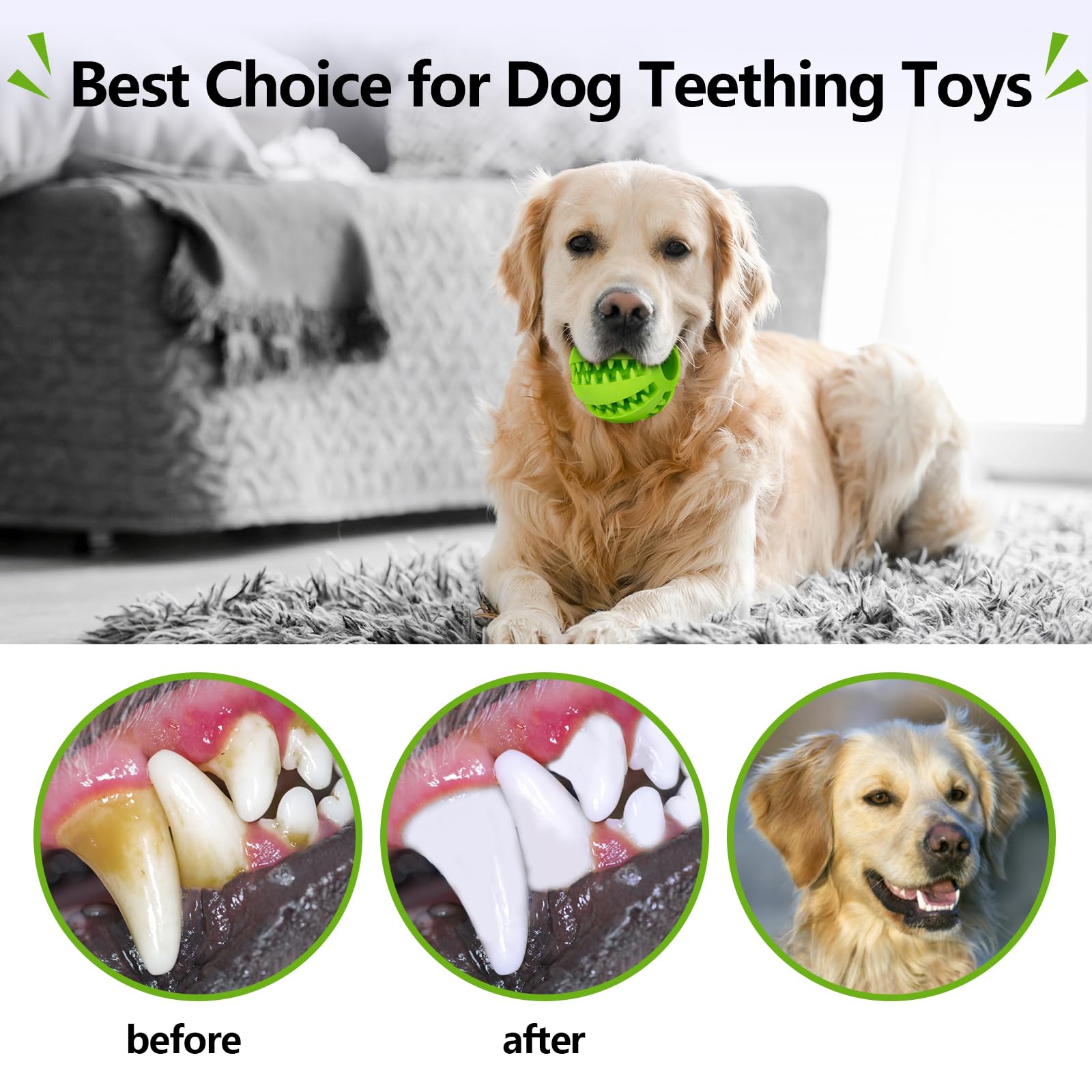 Bojafa: herramienta de entrenamiento dental para perros.
