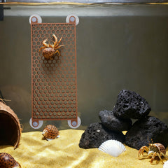 Bolagar diseño hexagonal facilita rutas seguras para trepar