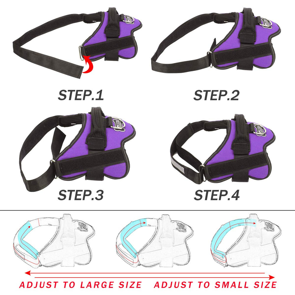 Bolux arnés con mango de nylon para control cercano durante caminatas