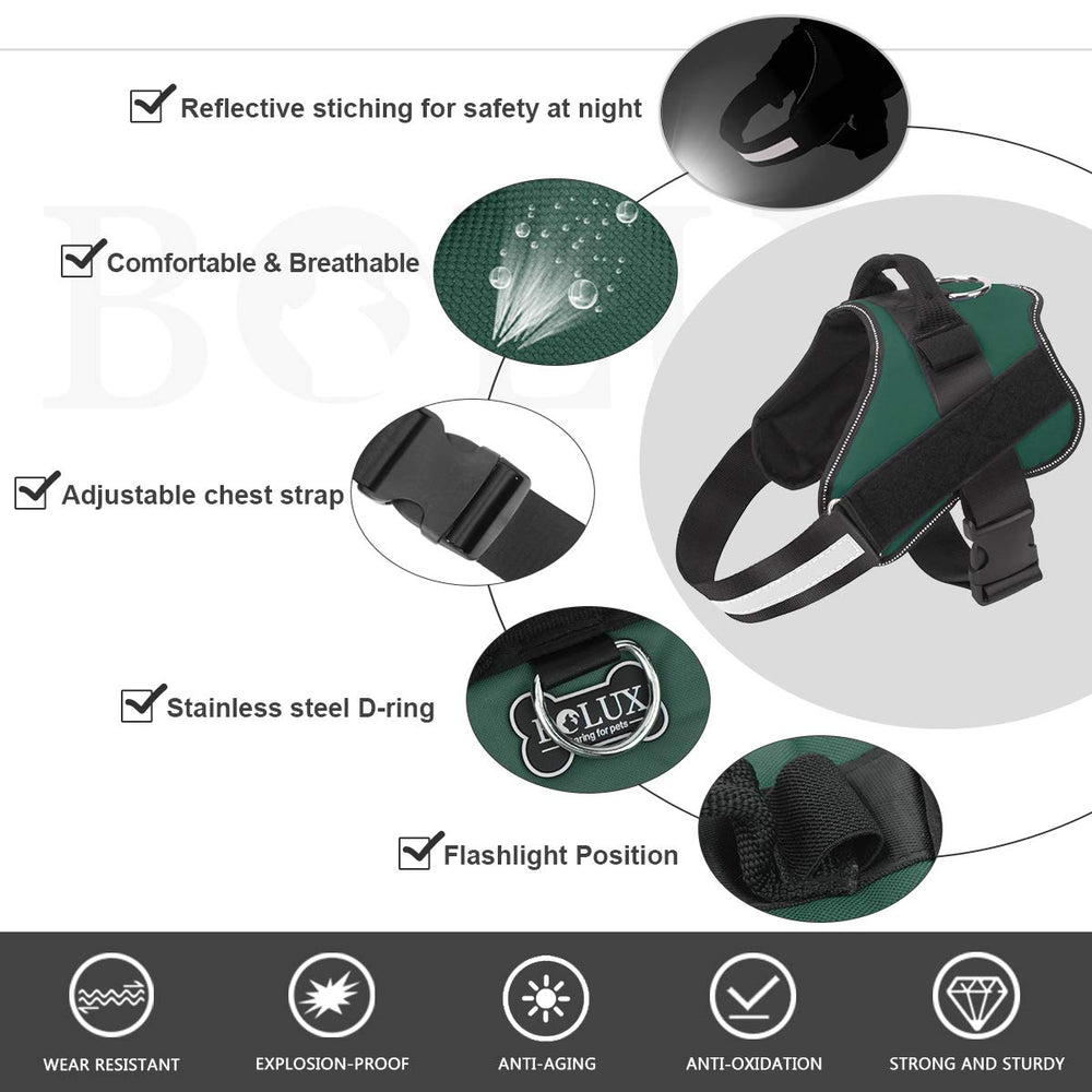Bolux arnés medio con mango ergonómico para control suave durante caminatas.