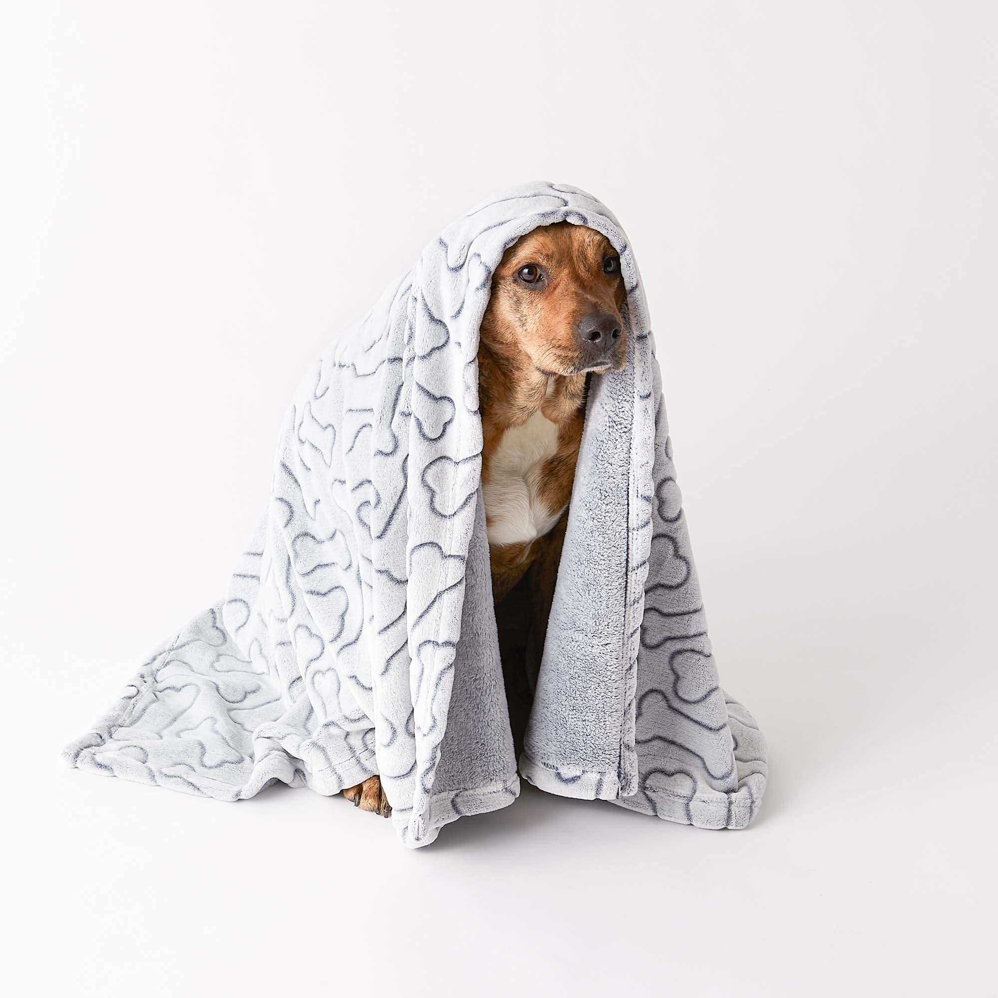 Bone Dry Manta ideal para viajar con mascotas