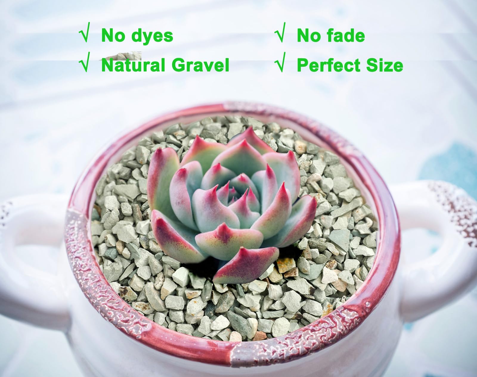 Boniosz gravilla verde para terrarios, relleno decorativo duradero.