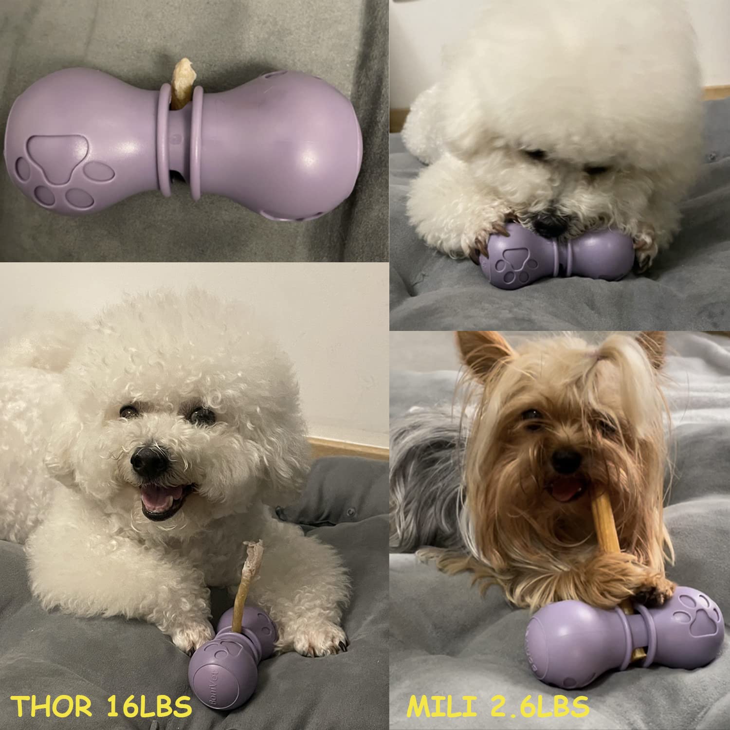 BoniVet diseño duradero para uso diario en perros pequeños y medianos.
