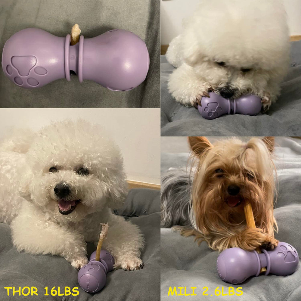 BoniVet diseño duradero para uso diario en perros pequeños y medianos.