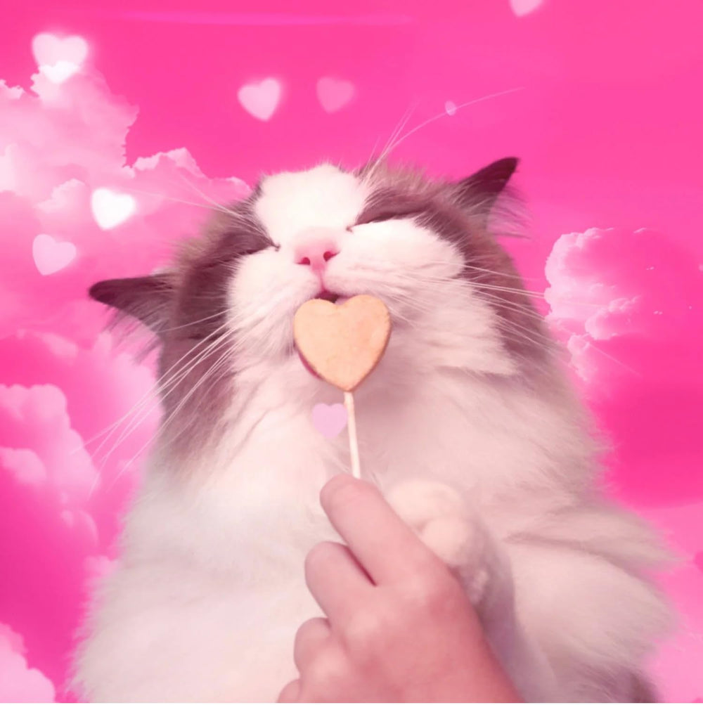 Bonkers Purrpops tamaño ideal para premio ocasional o entrenamiento.
