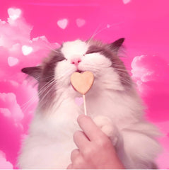 Bonkers Purrpops tamaño ideal para premio ocasional o entrenamiento.