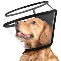 BONTHEE collar, diseño plegable, permite comer y beber sin retirar la protección.