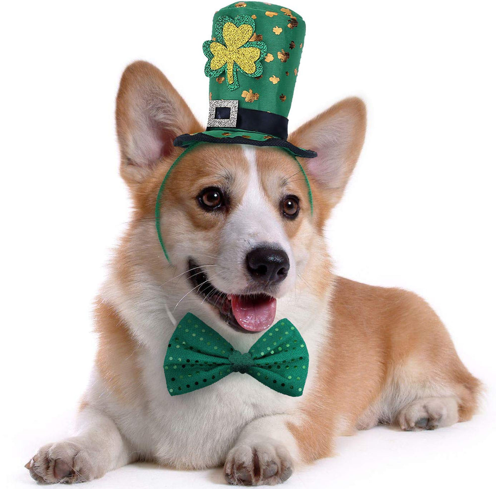 BoomBone diadema para perro con temática San Patricio, ideal para sesiones de fotos festivas.