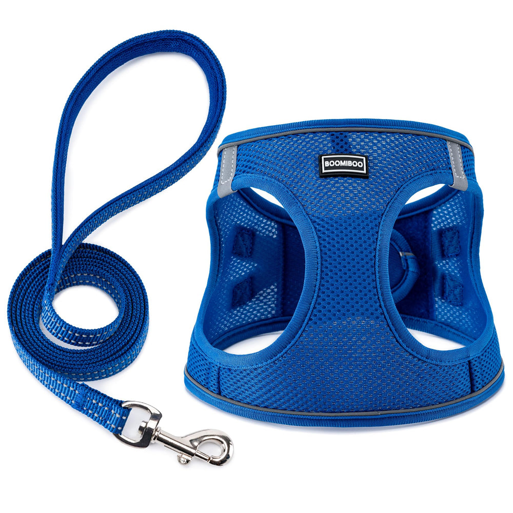 BOOMIBOO arnés para perro azul XXS en vista general, comodidad para paseos diarios.
