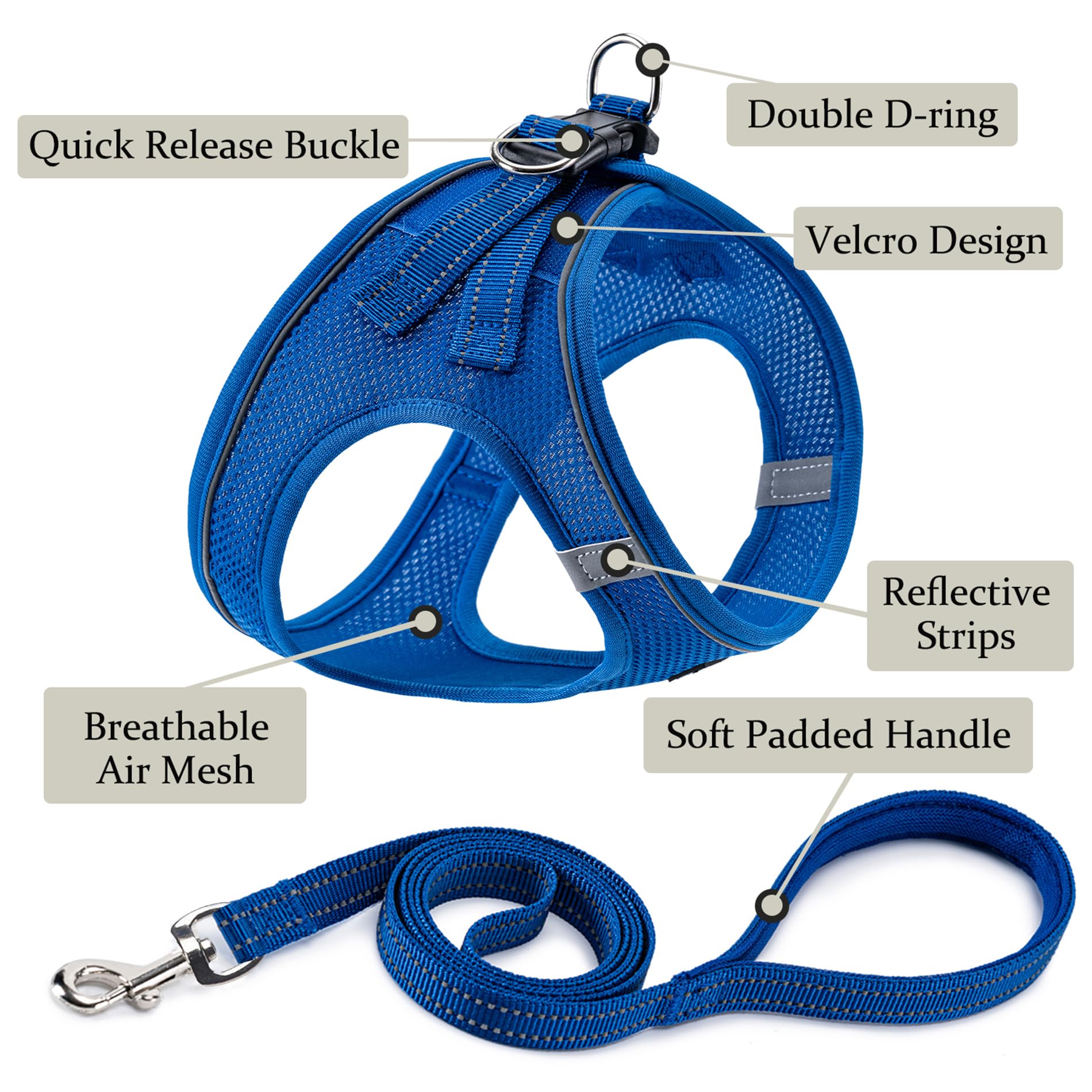 Correa BOOMIBOO azul con asa ergonómica para control.
