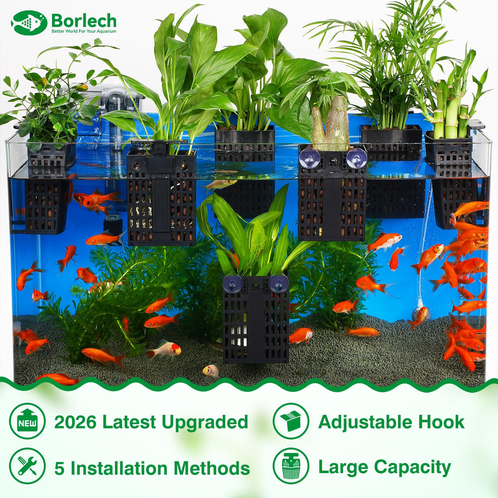 Borlech gancho-extensible-para-acuario facilita colocación de plantas