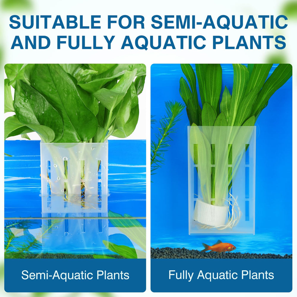 Plantas semiacuáticas compatibles con Borlech portaplanta para acuario.