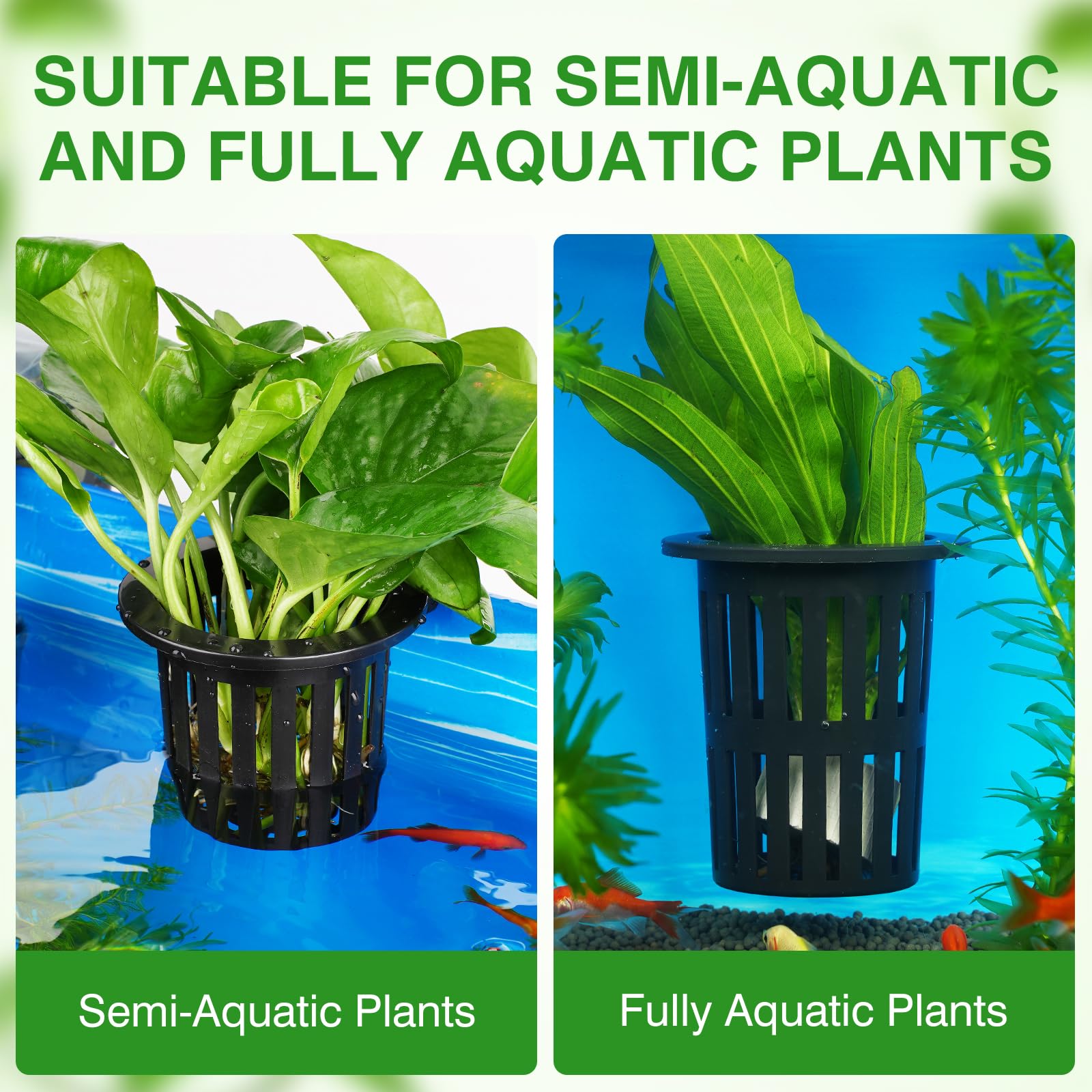 Portaplanta Borlech apto para plantas acuáticas como hiedras y loto.
