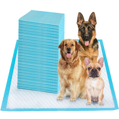 Pad Boscute absorbente de 6 capas para proteger suelos y alfombras.