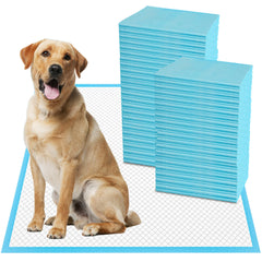 Tapete absorbente Boscute XXL con 6 capas para entrenamiento y protección de superficies.