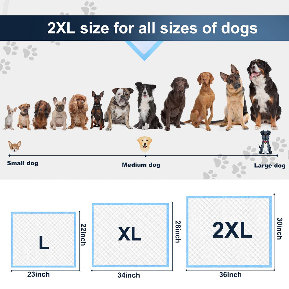 Tapete ideal para cachorros y mascotas mayores con alta absorción.