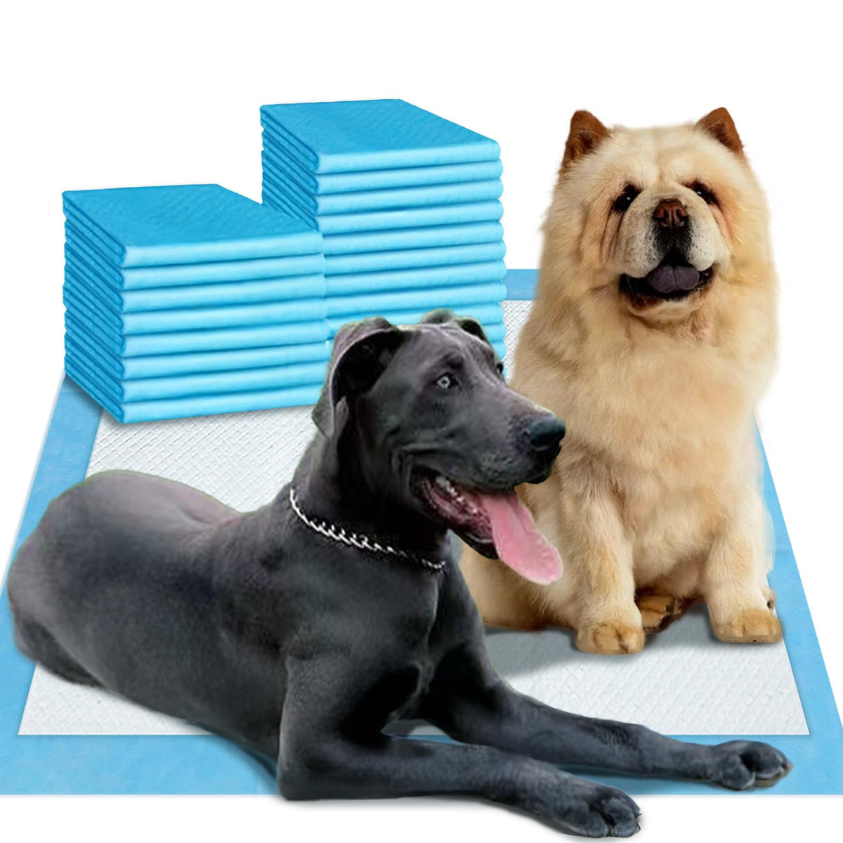 Pañales Boscute en empaque, protección para perros grandes