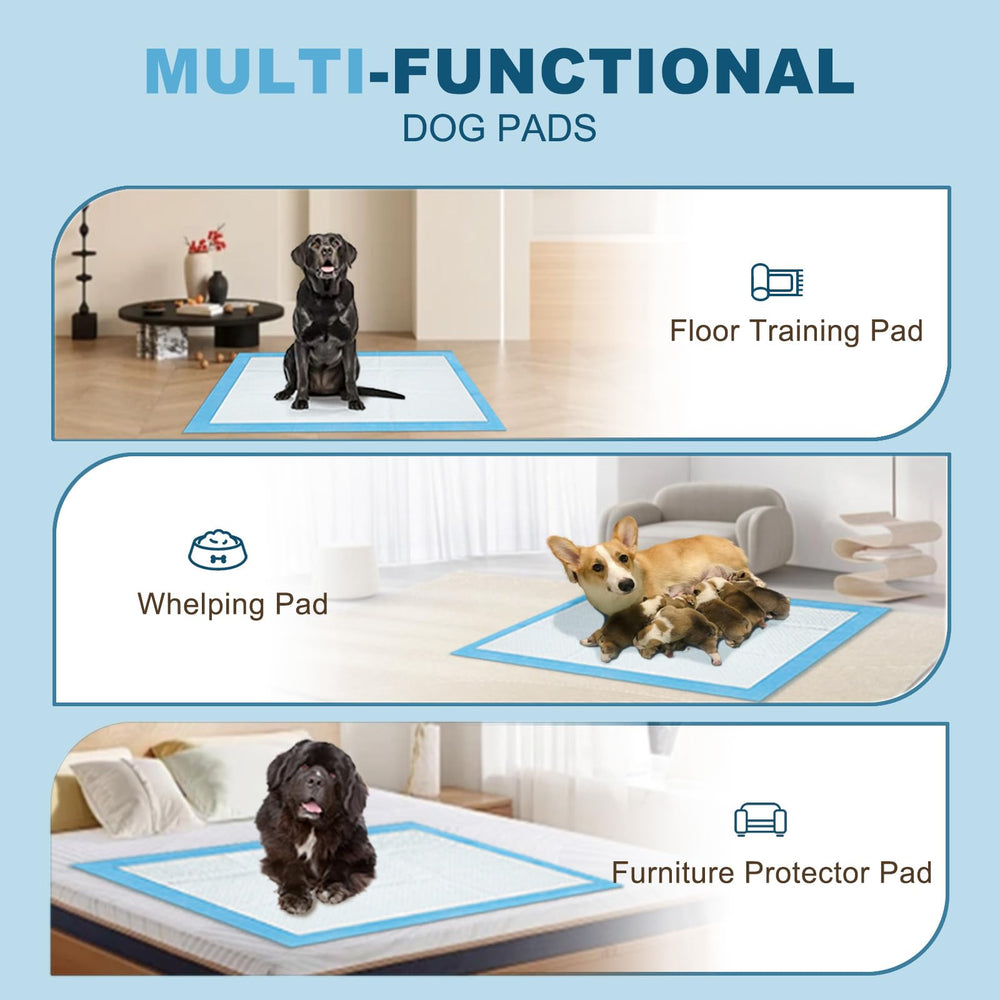 Uso para entrenamiento y cuidado diario con perros grandes