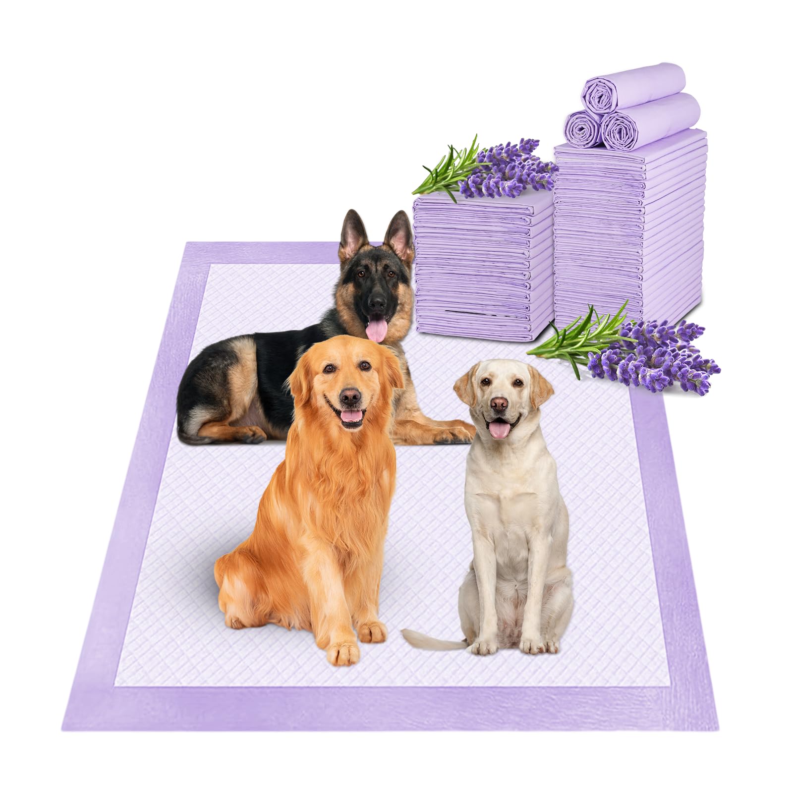 Boscute tapete lavanda: aroma suave para control de olor durante entrenamiento