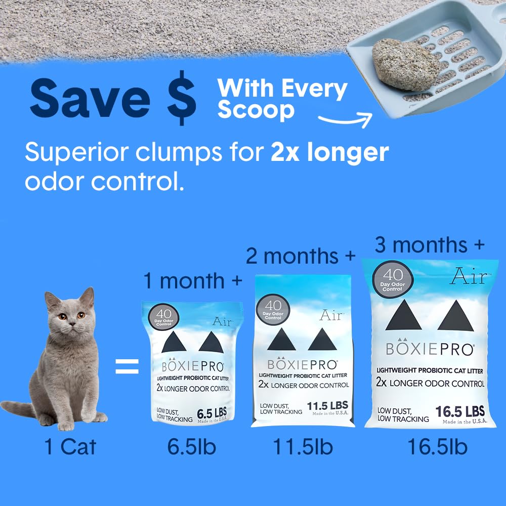 Boxiecat arena para gatos apta para hogares con varios gatos.