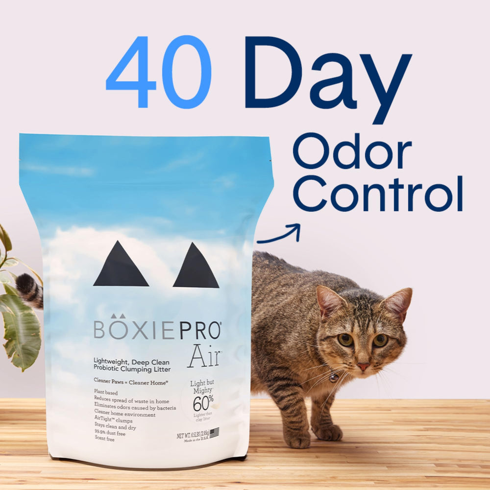 Boxiecat arena para gatos libre de polvo, reduce el polvo en casa.