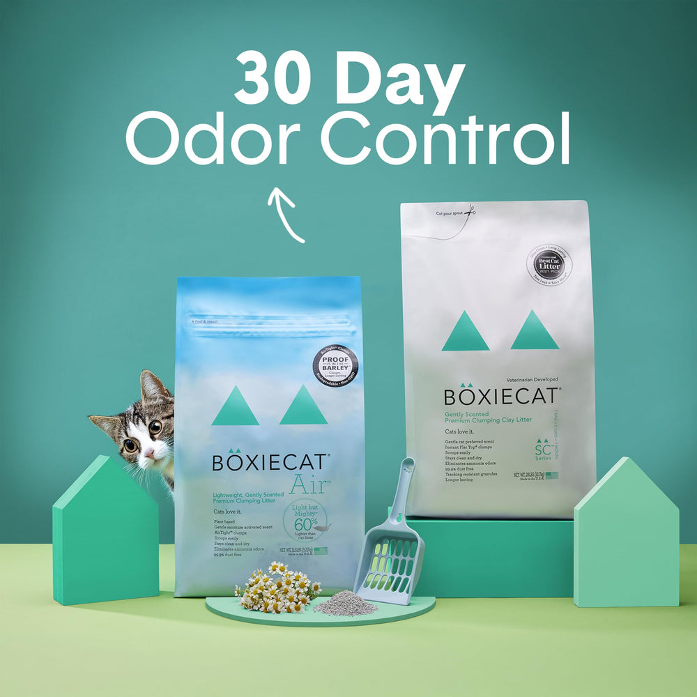 Boxiecat arena para gatos sin polvo, menos polvo en interiores