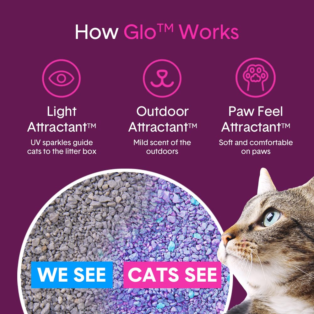 Boxiecat Glo: ideal para hogares con varios gatos