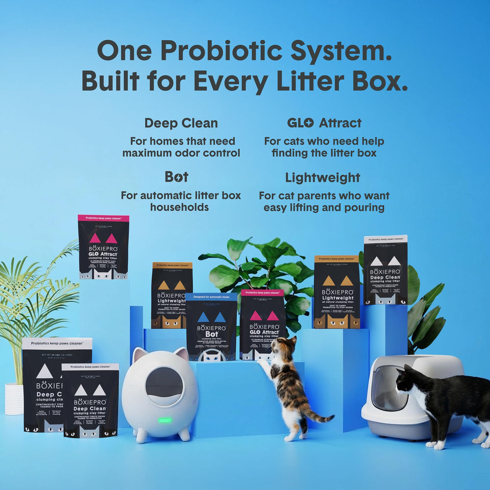 Apto para una o varias cajas Boxiecat