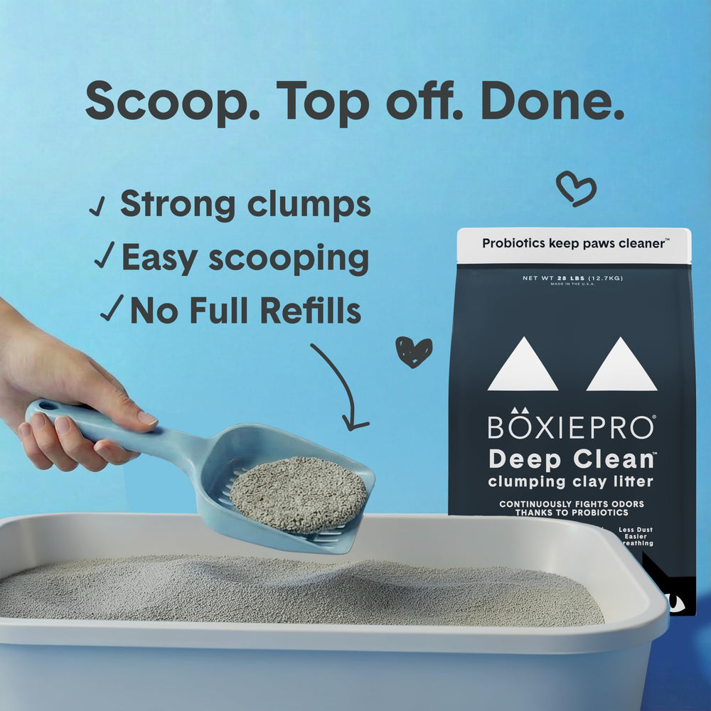 BoxiePro durabilidad de 30–40 días por bolsa.