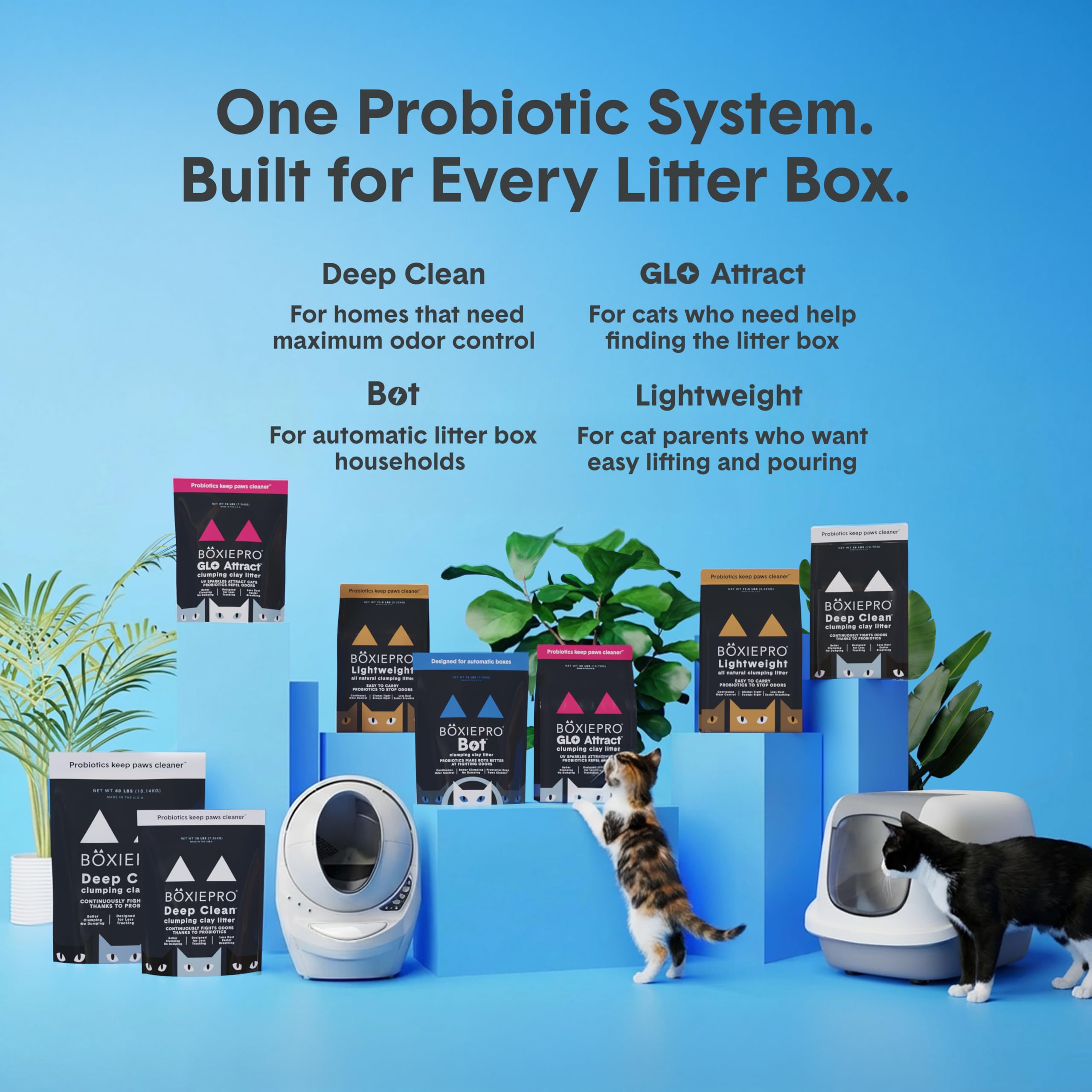 BoxiePro segura para el hogar sin rellenos artificiales.
