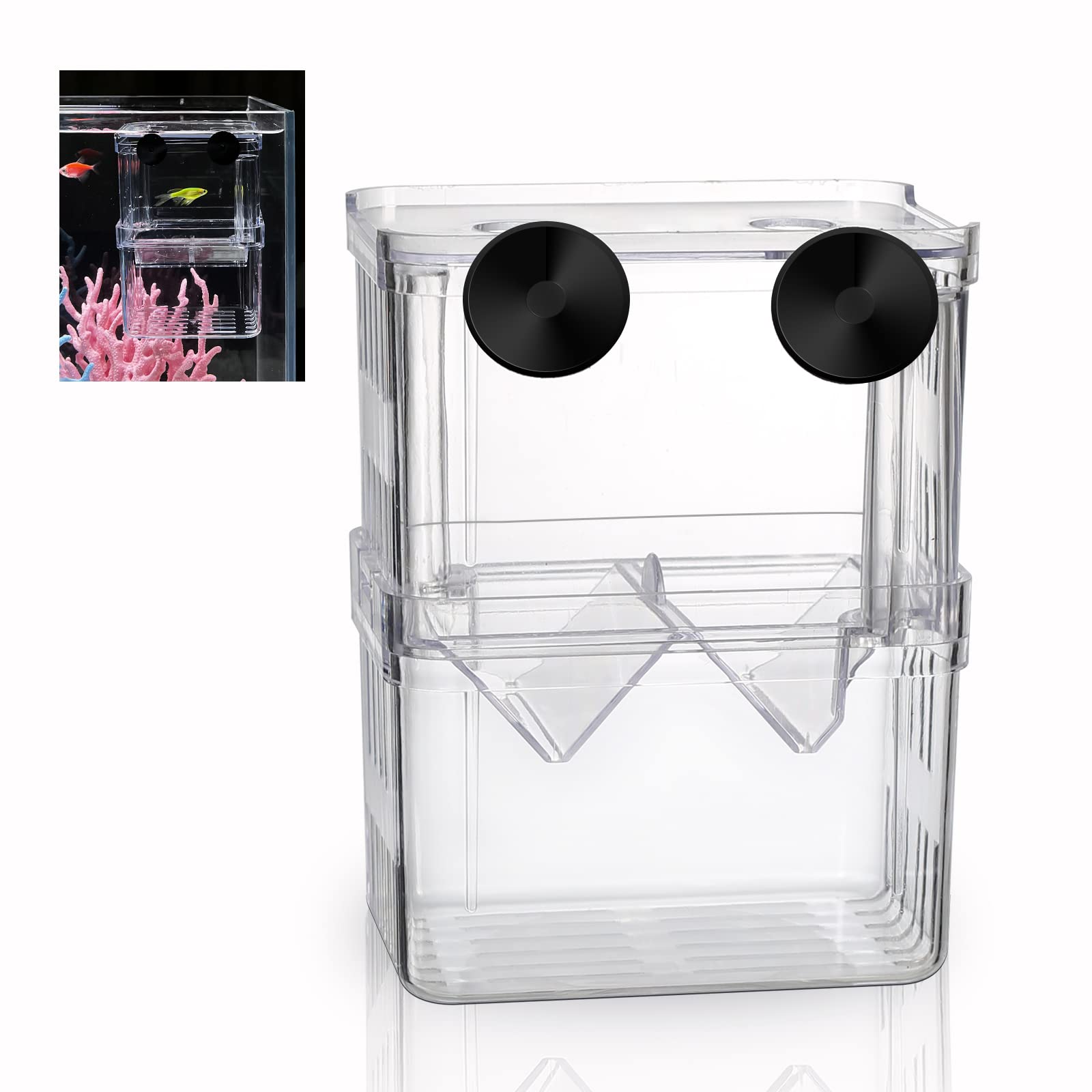 Boxtech caja de cría acrílica blanca frontal, observa crías con claridad.