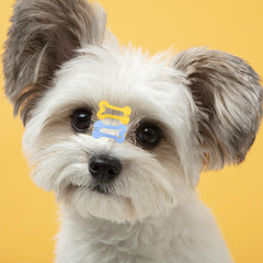 Pinzas para perro BOYIVI multicolor, ideal para lucir estilos diarios