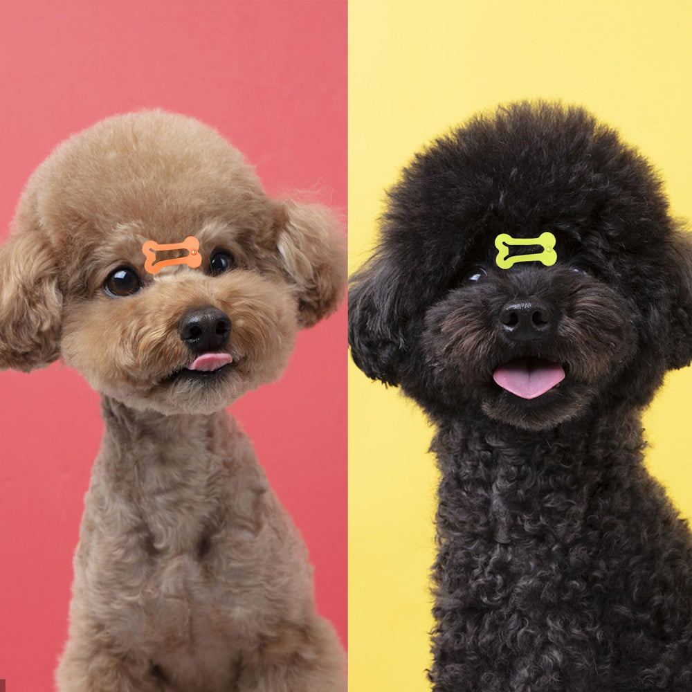 Pinzas BOYIVI para el pelo de perros, perfecto para looks diarios