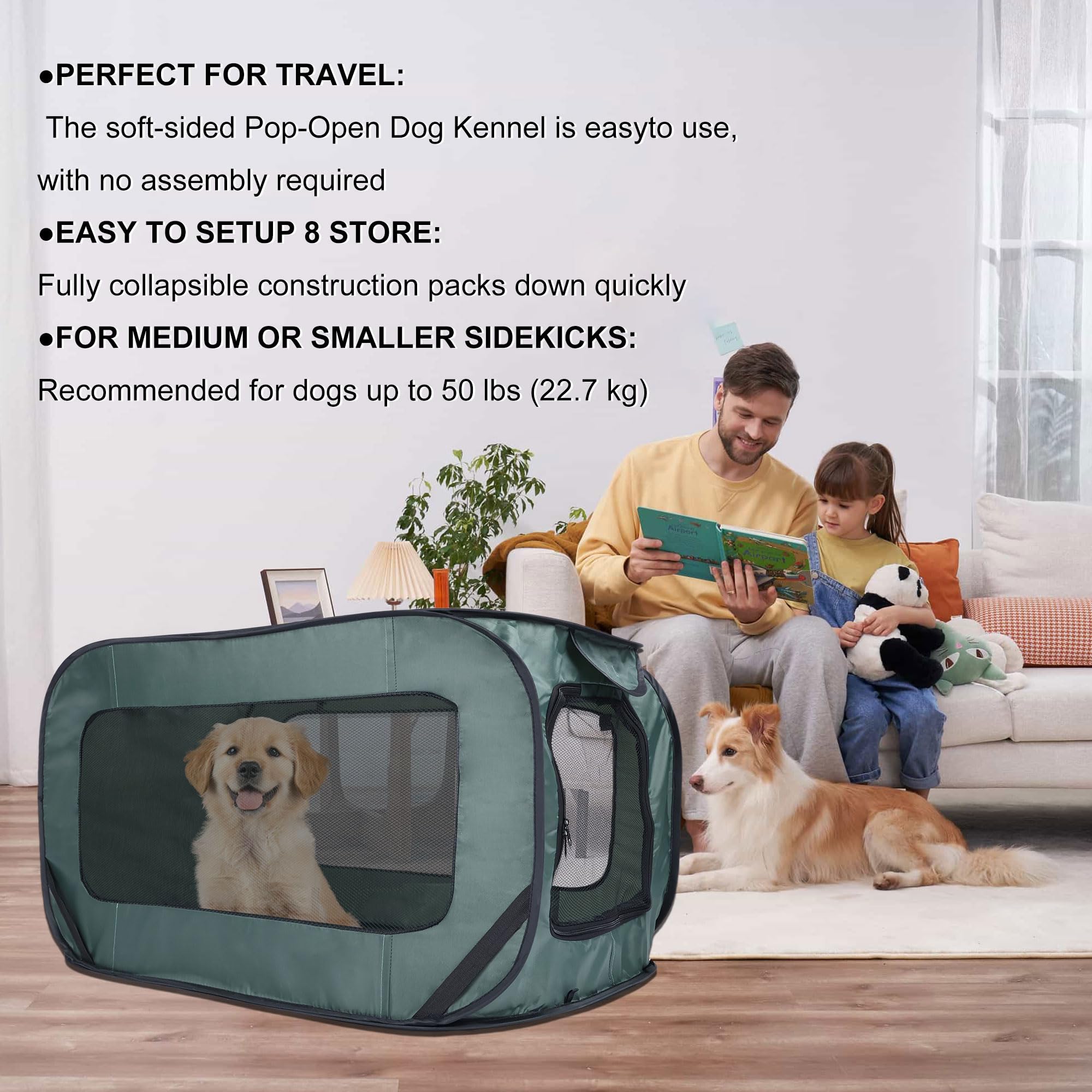 BOYUZHE jaula de montaje rápido, ideal para viajes espontáneos y guardarla fácilmente.