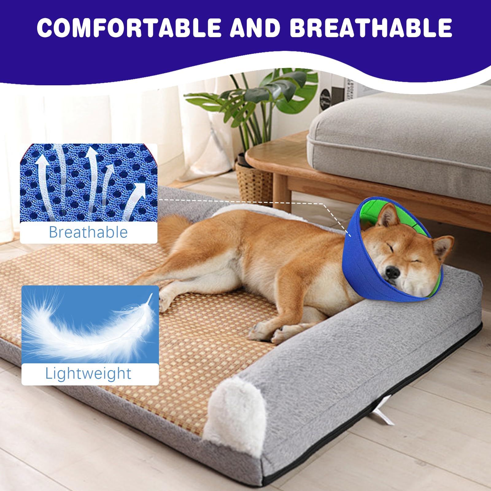 Protección de cicatrices con el cono BQFLY para perros.