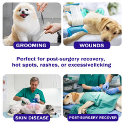 Cono BQFLY con visión despejada para perros durante la recuperación.