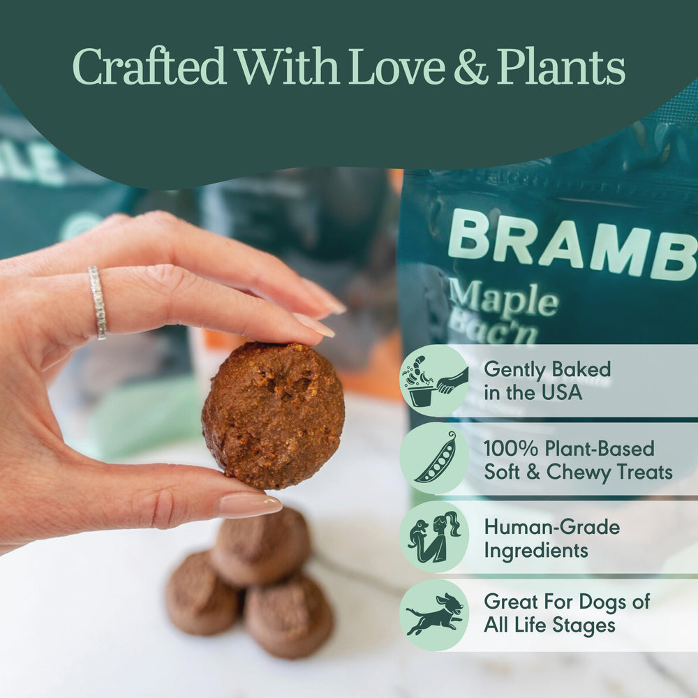 BRAMBLE Galletas sin trigo para perros, opción más ligera.
