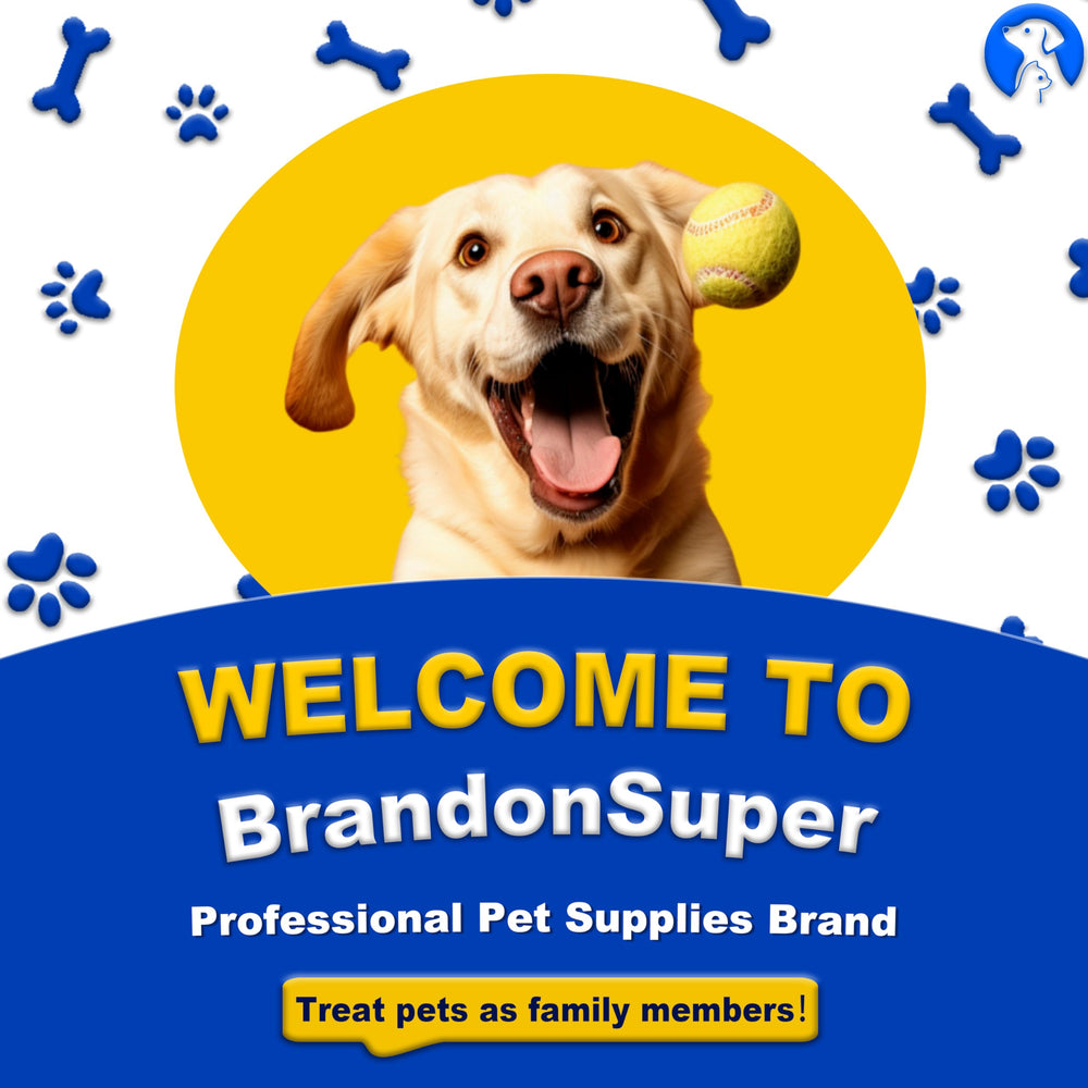 Brandon-super guía de talla para medir la cintura y comprar